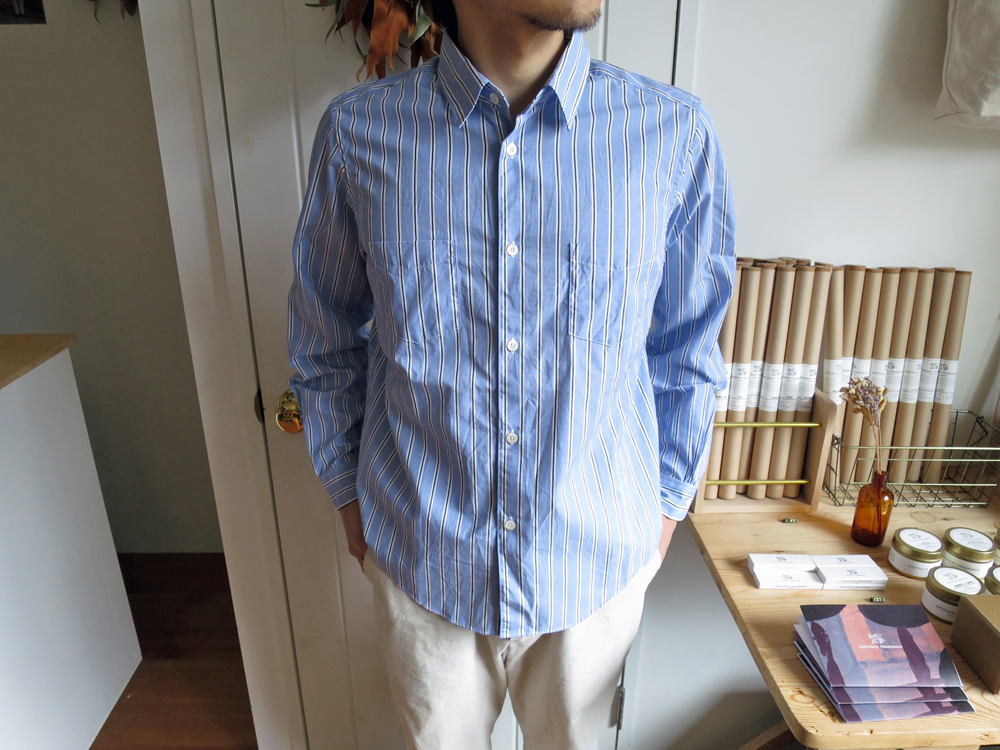 ENDS and MEANS Aldous Shirts Stripe エンズアンドミーンズ オルダスシャツ ストライプ